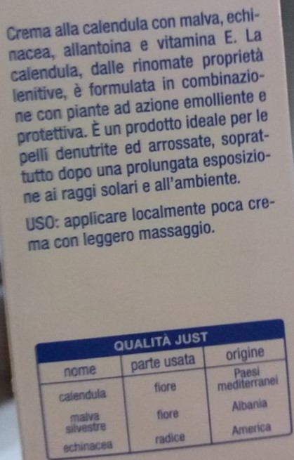 Coco con bolla su zampa
